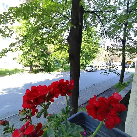 Mila * Skopje